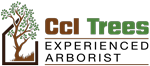 Awesome Logo