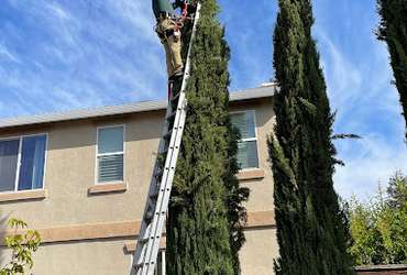 tree-pruning